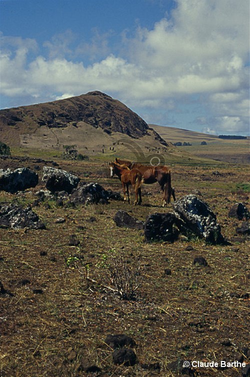 image125